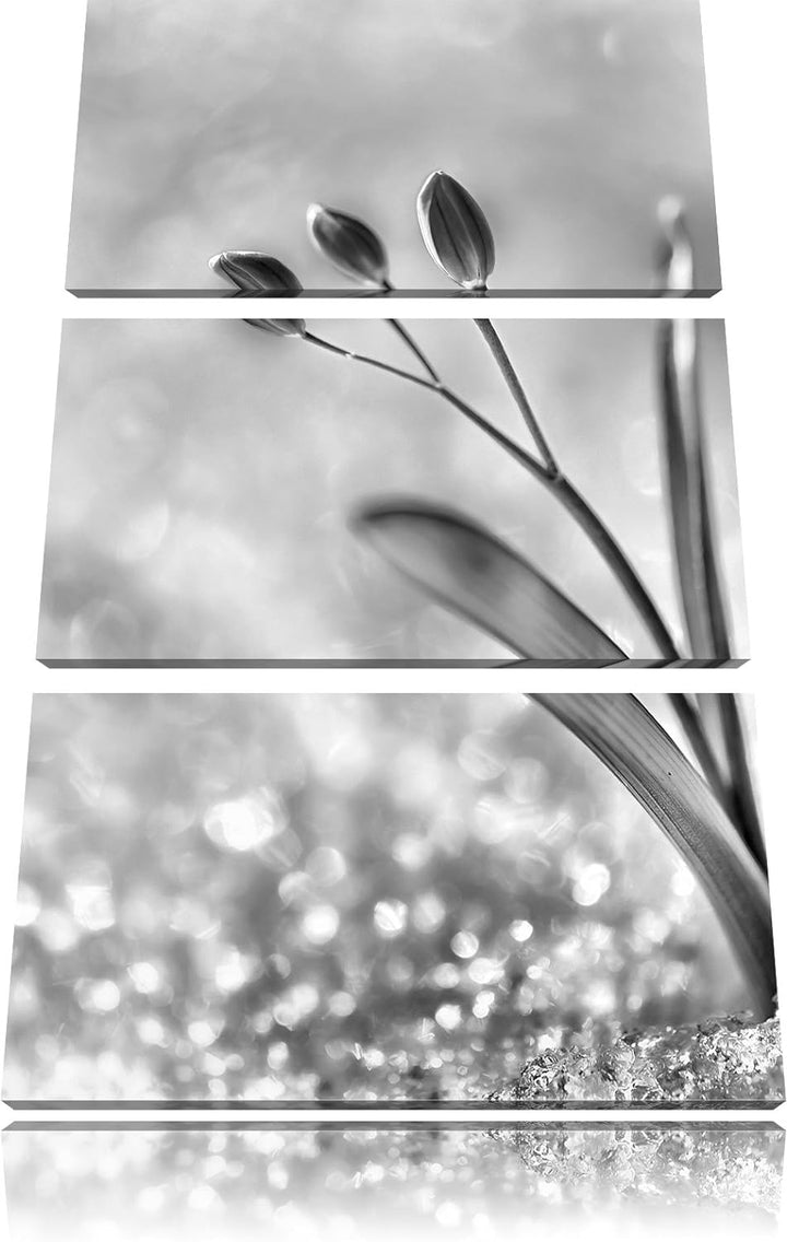 Pixxprint Monocrome, Blaue Knospen im Schnee 3-Teiler Leinwandbild 120x80 Bild auf Leinwand