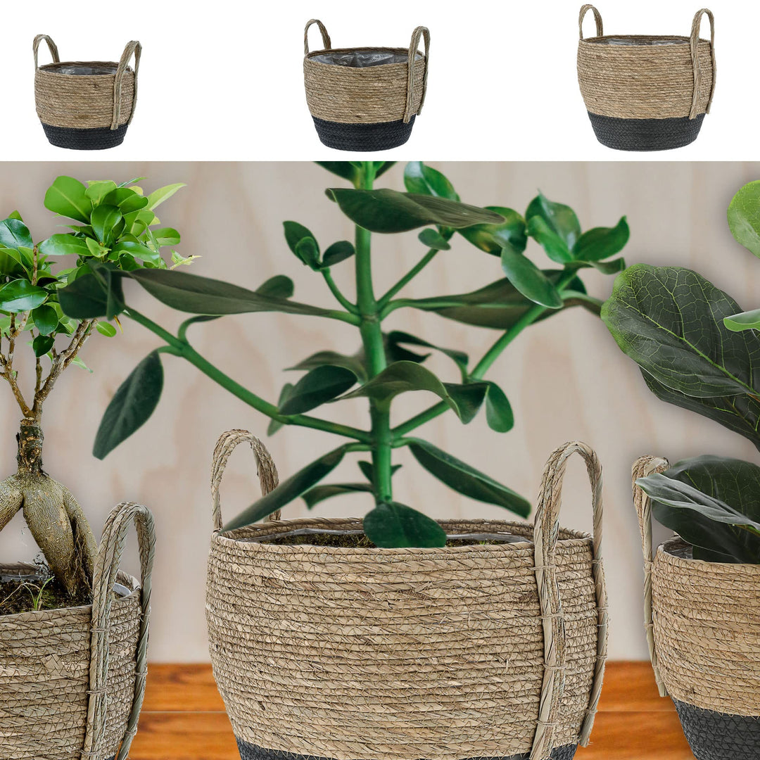 Cepewa Pflanzkorb 3er Set │ Kunstofffolien-Inlay Seegras│ Übertopf Körbe Korbset Pflanztopf (1 x 3er