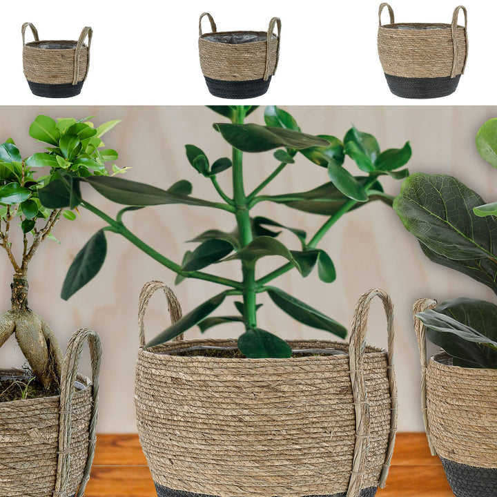 Cepewa Pflanzkorb 3er Set │ Kunstofffolien-Inlay Seegras│ Übertopf Körbe Korbset Pflanztopf (1 x 3er