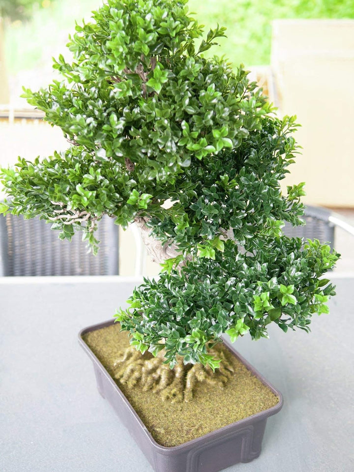 EUROPALMS Buchsbonsai, Kunstpflanze, 61 cm | Bonsai-Buchsbäumchen als Tischdeko