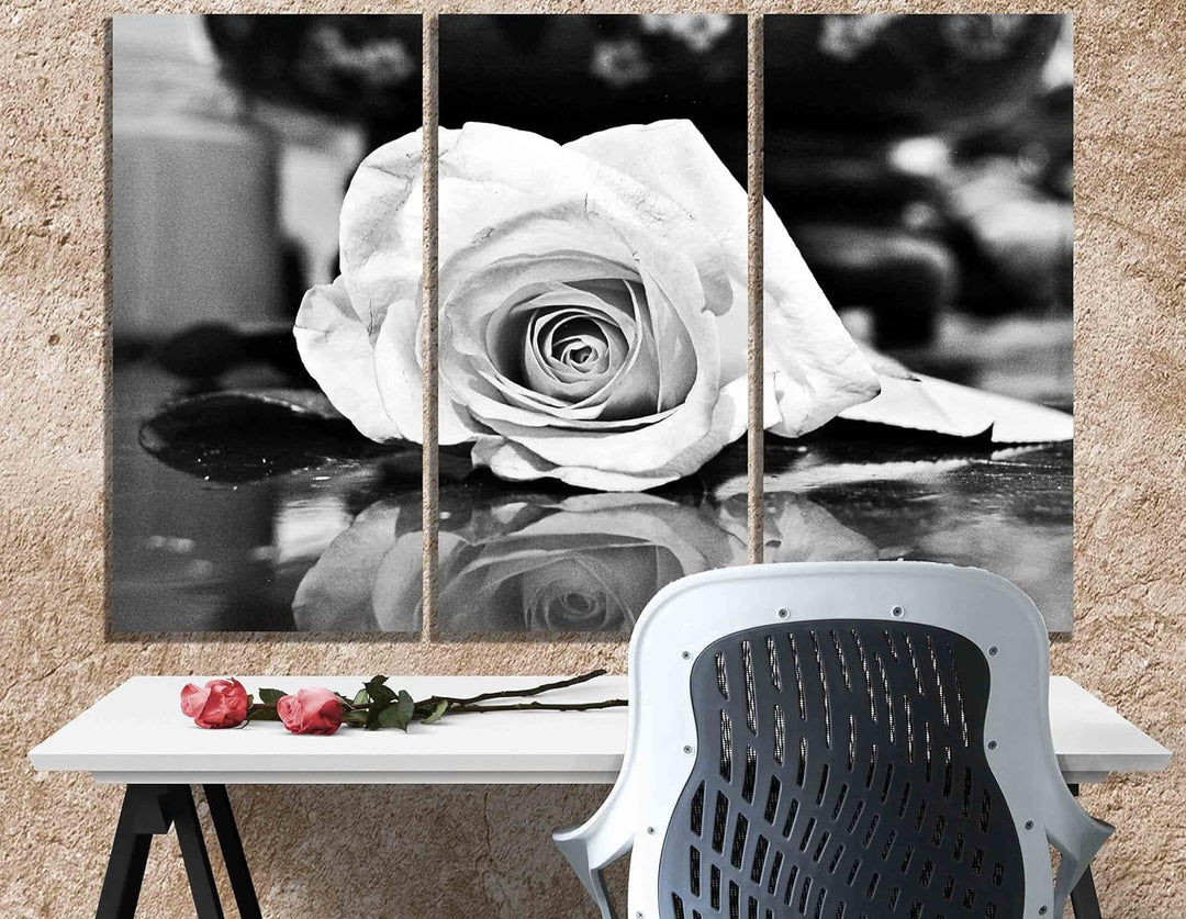 Kunstdruck auf Leinwand, Motiv: Rose, 50 x 25 cm, Schwarz / Weiss 50 x 25cm (20 x 10 inches) X 3, 50