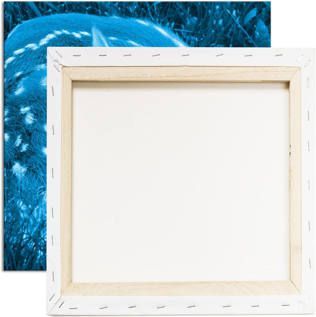 deyoli goldiges Rehkitz im hohen Gras Format: 70x70 Effekt: Monocrome Blau als Leinwandbild, Motiv f