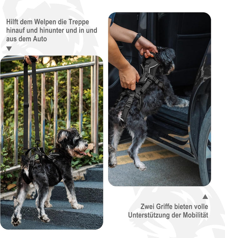 OneTigris Hundegeschirr, Hopper Kleines Unterstützung Geschirr Einstellbares Hebegeschirr mit 2 Grif