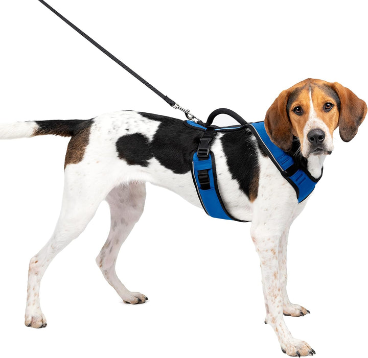 PetSafe EasySport Hundegeschirr, Komplett gepolstert mit elastischem Halsteil, Für Hunde von 29,5-36