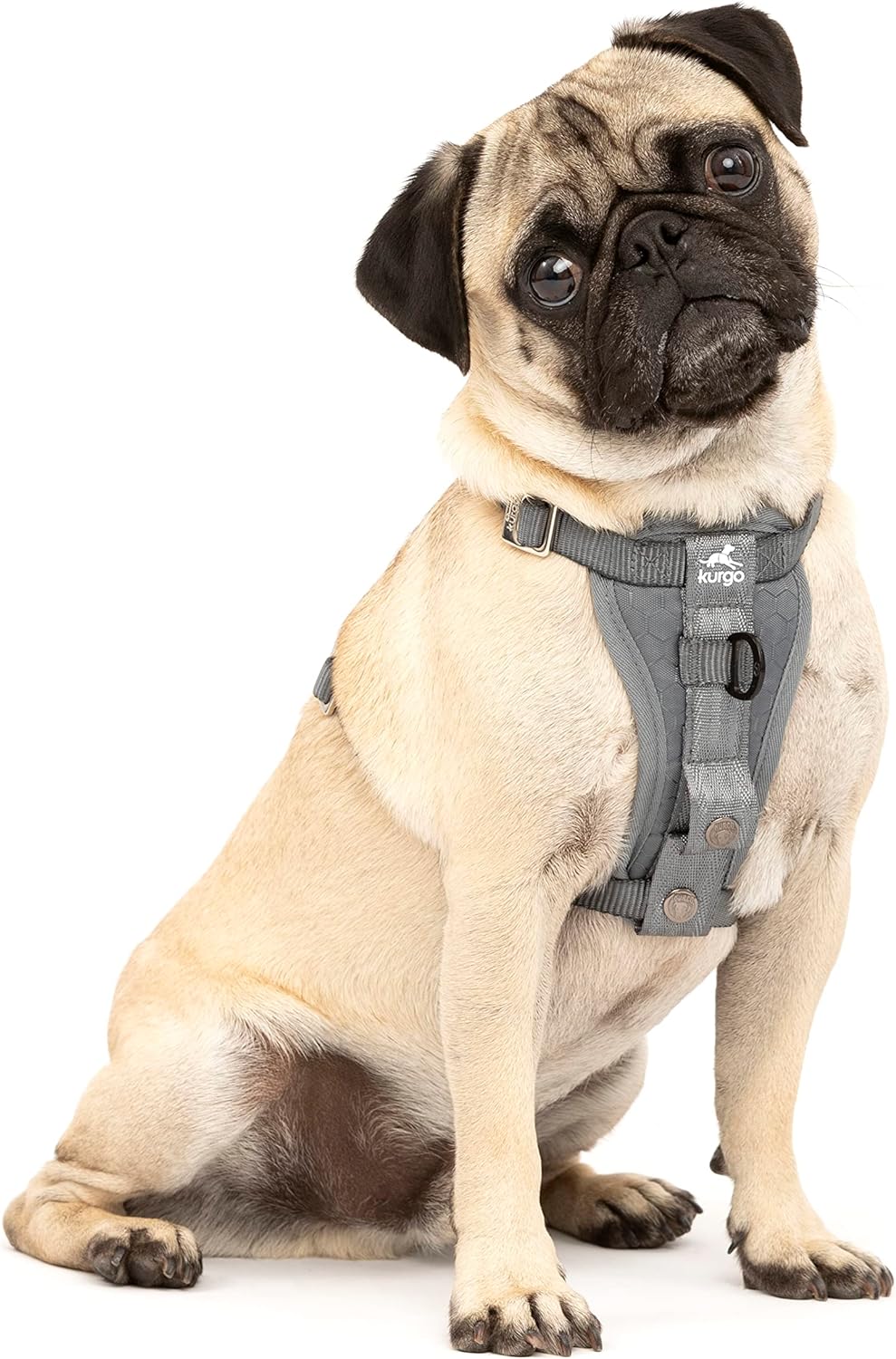 Kurgo Tru-Fit Hundegeschirr, Crash-Test-erprobtes Auto-Sicherheitsgurt, Für Hunde von 2 bis 5 kg, Gr
