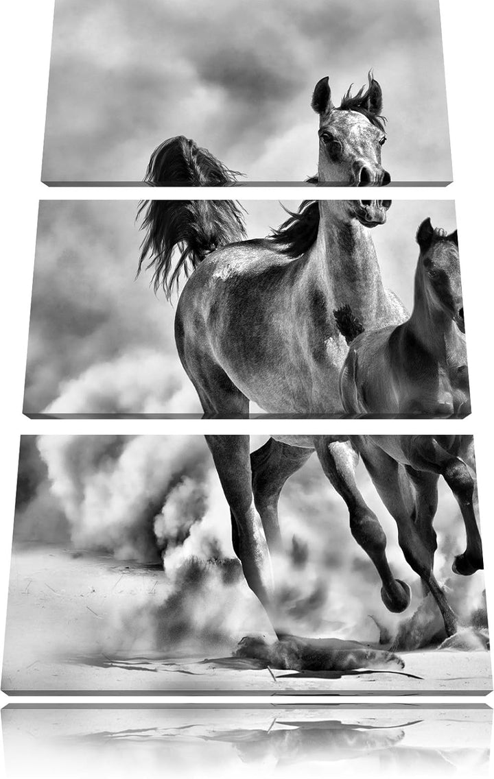 Pixxprint Western Pferde Fohlen als Leinwandbild/Grösse: 3 Teilig (120x80) cm/Wandbild/Kunstdruck/fe