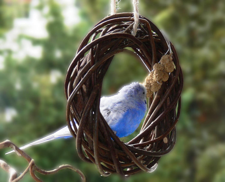 Vogelgaleria® Leckerer Weidenring zum Knabbern für Wellensittich, Nymphensittich & Co.; Weidengeflec