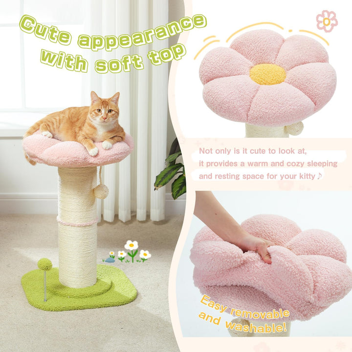 PAWZ Road Flower Katzenkratzbaum - Kleiner Katzenbaum für Indoor-Katzen Mit Super Dickem Kratzbaum [