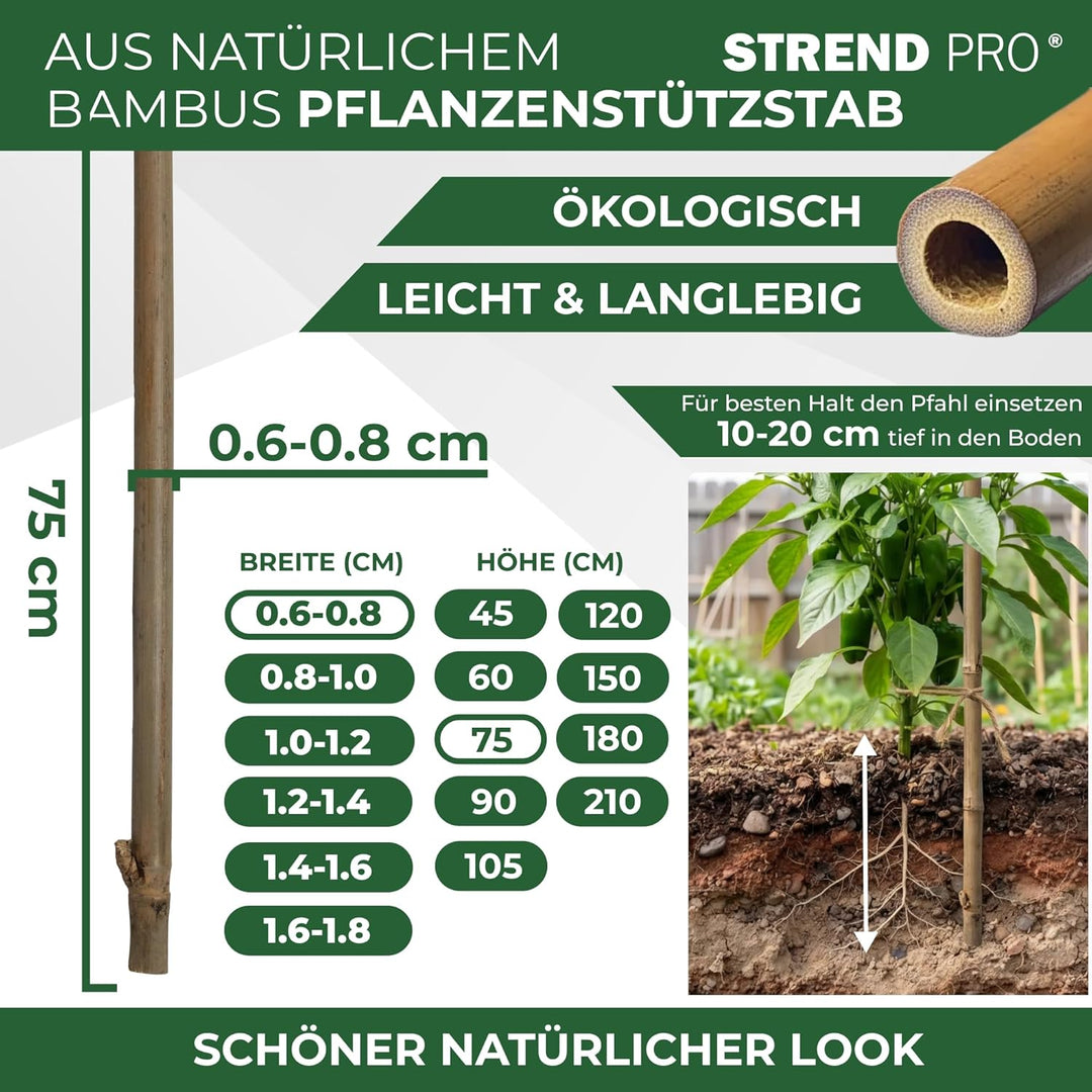 STREND PRO Bambusstäbe 75 cm - 10er Set | Ø 6-8 mm Natürliche Holzstäbe | Pflanzstäbe & Rankhilfe |