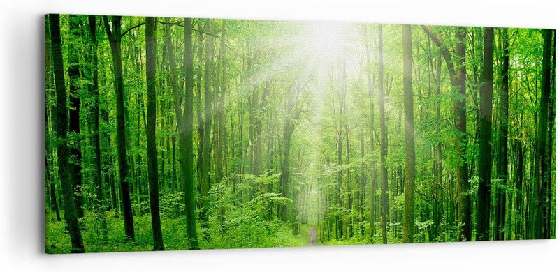 Wandbilder Dekoration Wohnzimmer Sonnenstrahlen Wald Sommer Panorama Bilder auf Leinwand 120x50cm Le