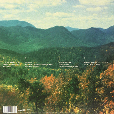 Innerspeaker, Vinyl