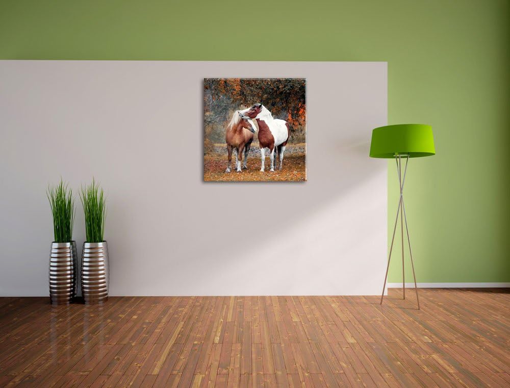 zwei schmusende Pferde, Format: 70x70 auf Leinwand, XXL riesige Bilder fertig gerahmt mit Keilrahmen
