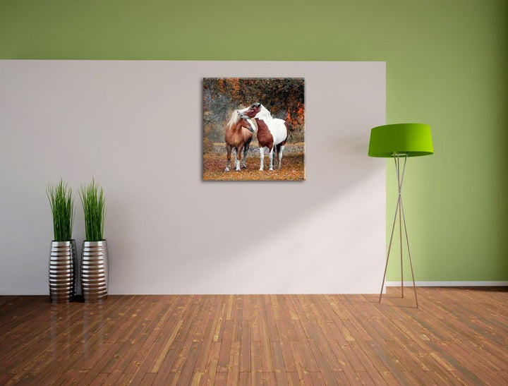 zwei schmusende Pferde, Format: 70x70 auf Leinwand, XXL riesige Bilder fertig gerahmt mit Keilrahmen