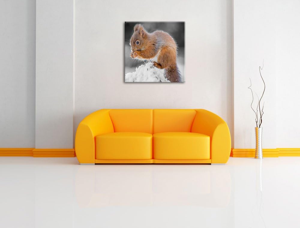 Pixxprint Kleines Eichhörnchen im Winter als Leinwandbild Quadratisch/Grösse: 70x70 / Wandbild/Kunst