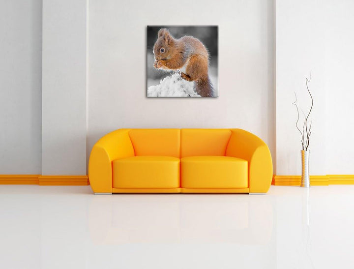 Pixxprint Kleines Eichhörnchen im Winter als Leinwandbild Quadratisch/Grösse: 70x70 / Wandbild/Kunst