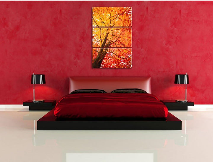 Pixxprint Feurige Herbstblätter Kunst als Leinwandbild/Grösse: 3 Teilig (120x80 cm) cm/Wandbild/Kuns