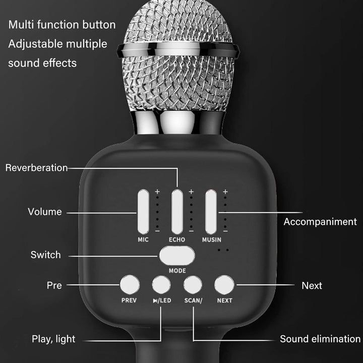 Karaoke Mikrofonmaschine, Bluetooth Lautsprecher Karaoke Mikrofon für Erwachsene für Zuhause (Schwar