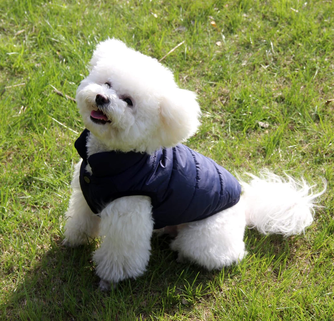 Mit Fleece gefütterte Hundejacke mit 2 Schichten von JoyDaog, sehr warm für den Winter und kaltes We