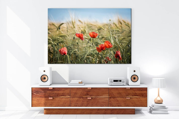 deyoli zarte Mohnblumen im Getreidefeld Format: 60x40 als Leinwand, Motiv fertig gerahmt auf Echthol