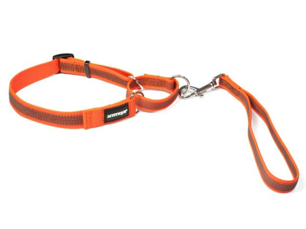 Mystique® Gummierte Agility Leine 25mm neon orange 40-55cm 40-55cm neon orange, 40-55cm neon orange