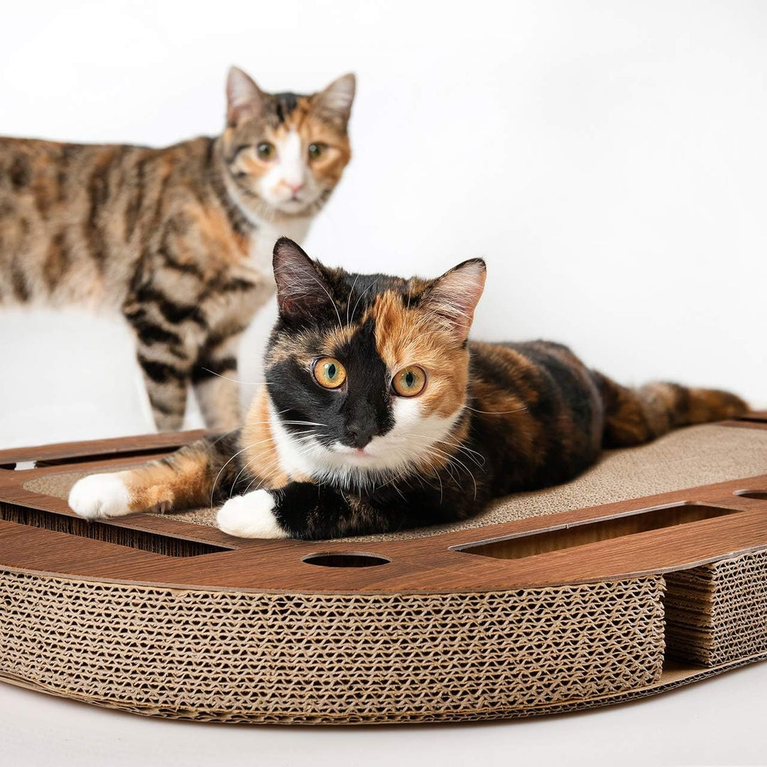 CanadianCat Company | XXL Katzenspielplatz 85 x 54 x 5,8 cm mit integrierter Kratzpappe, interaktive