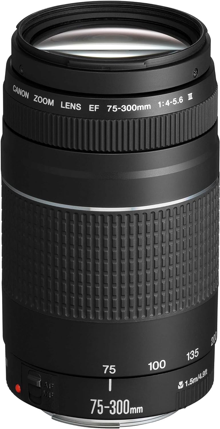 Canon EF 75-300mm F4.0-5.6 III Zoomobjektiv (58mm Filtergewinde) schwarz & EF 50mm F1.8 STM Objektiv