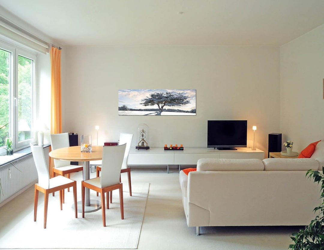 Paul Sinus Art Panoramabild auf Leinwand und Keilrahmen 150x50cm Baum Schatten Schnee Winter Wolkens