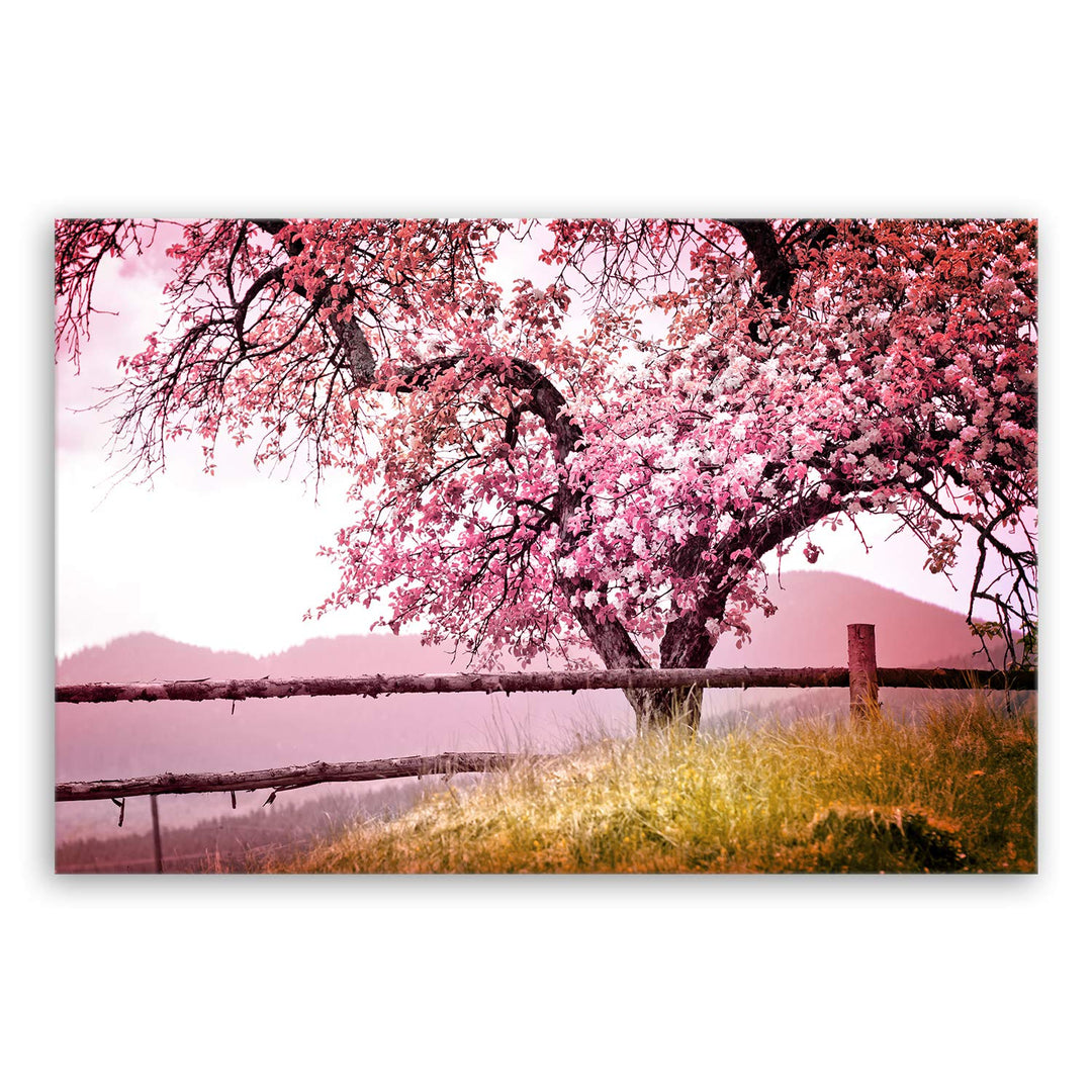 ge Bildet Bild auf Leinwand | Frühlingsbaum - Natur Baum Rosa Pink A in 120x80 cm als Wandbild XXL |