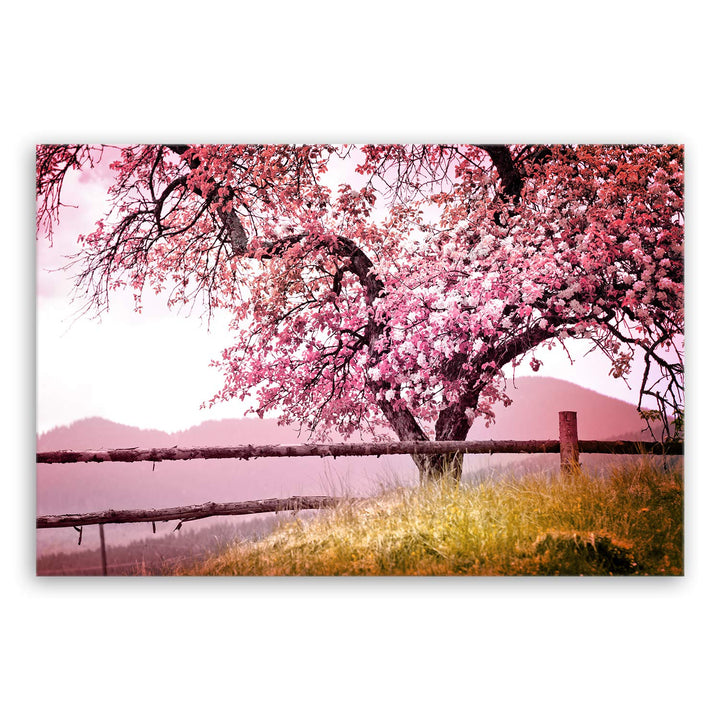 ge Bildet Bild auf Leinwand | Frühlingsbaum - Natur Baum Rosa Pink A in 120x80 cm als Wandbild XXL |