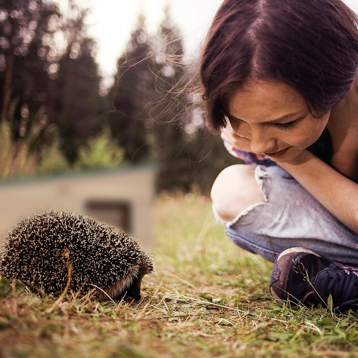 Relaxdays Igelhaus, Holz, Igelhotel mit Boden, 2 Kammern, Winterquartier für Igel, Garten, HBT: 21,5