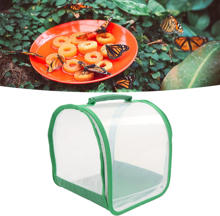 CHICIRIS Butterfly Habitat, Transparenter Monarch-Schmetterlings-Insektenkäfig, Zusammenklappbares P