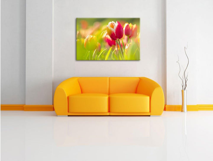 Blühende rote Tulpen, Format: 100x70 auf Leinwand, XXL riesige Bilder fertig gerahmt mit Keilrahmen,