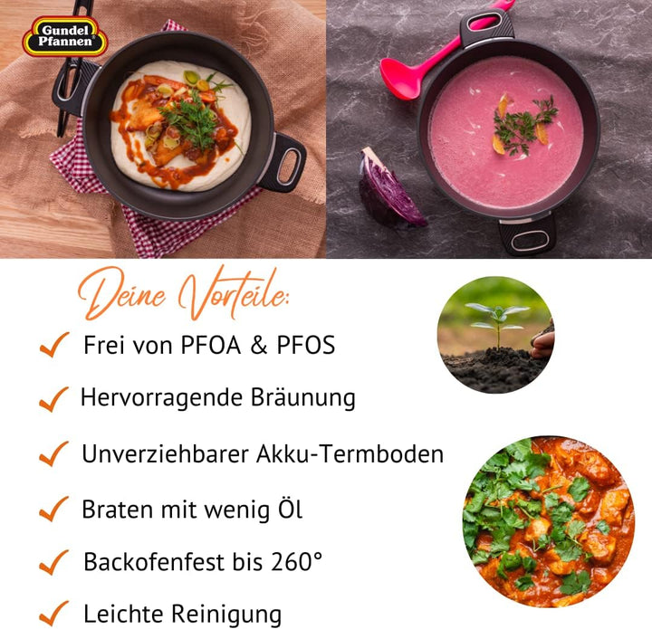 Original Gundel GUSS-BRATEN-TOPF INDUKTION, Ø 26 cm, Höhe 10,5 cm, BIOTAN-Oberfläche, backofenfeste