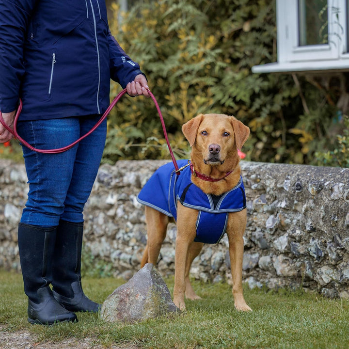 Weatherbeeta - Hund Comfitec Premier Kostenlos Parka Delux Hundemantel - Dunkelblau/Grau/Weiss 35 cm