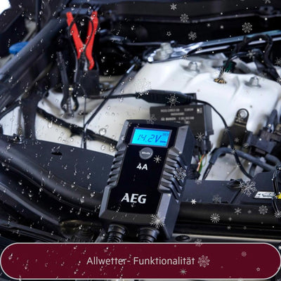 AEG Automotive 10616 Mikroprozessor-Ladegerät für Auto Batterie LD 4.0, 4 Ampere für 6/12 V, 7-HF La