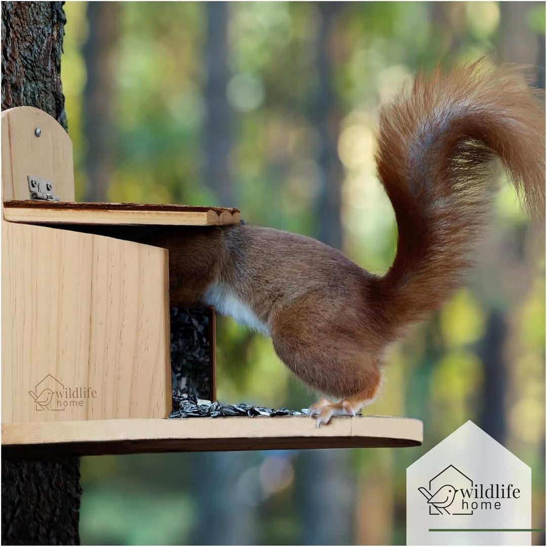WILDLIFE HOME Eichhörnchen Futterhaus stabil aus Massivholz mit Rindendach - Wetterfest, Eichhörnche