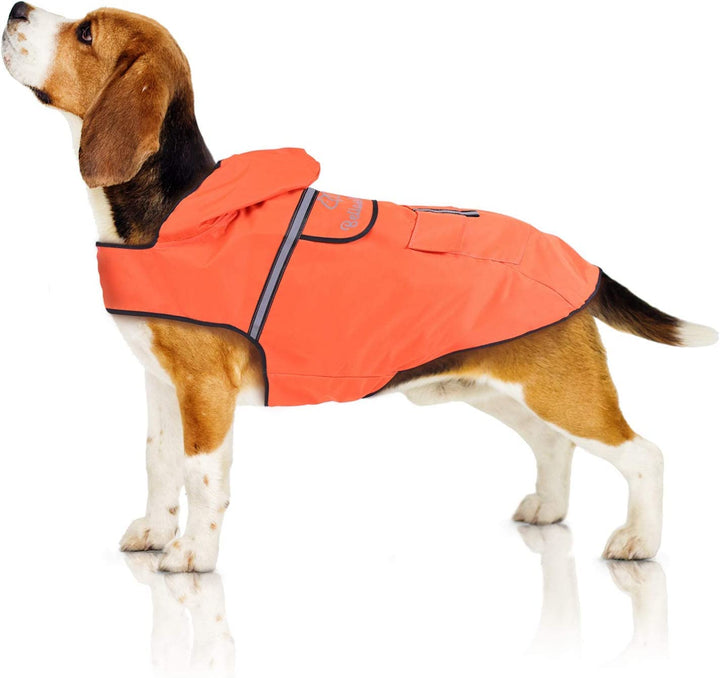 Bella & Balu Hunderegenmantel - Wasserdichter Hundemantel mit Kapuze und Reflektoren für trockene, s