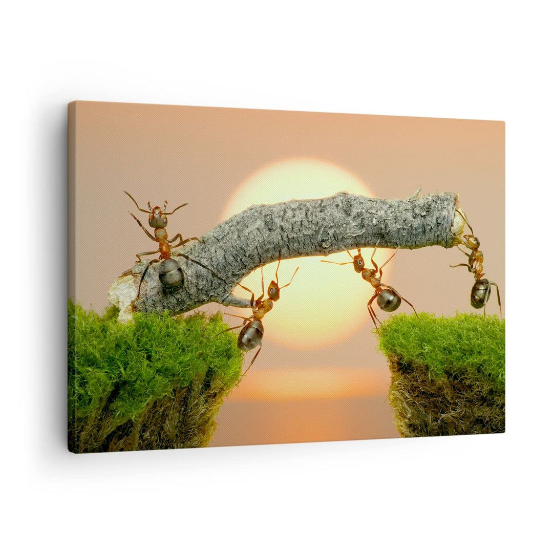 Bilder auf Leinwand Tiere Ameisen Brücke Natur Leinwandbild 70x50cm Wandbilder Dekoration Wohnzimmer
