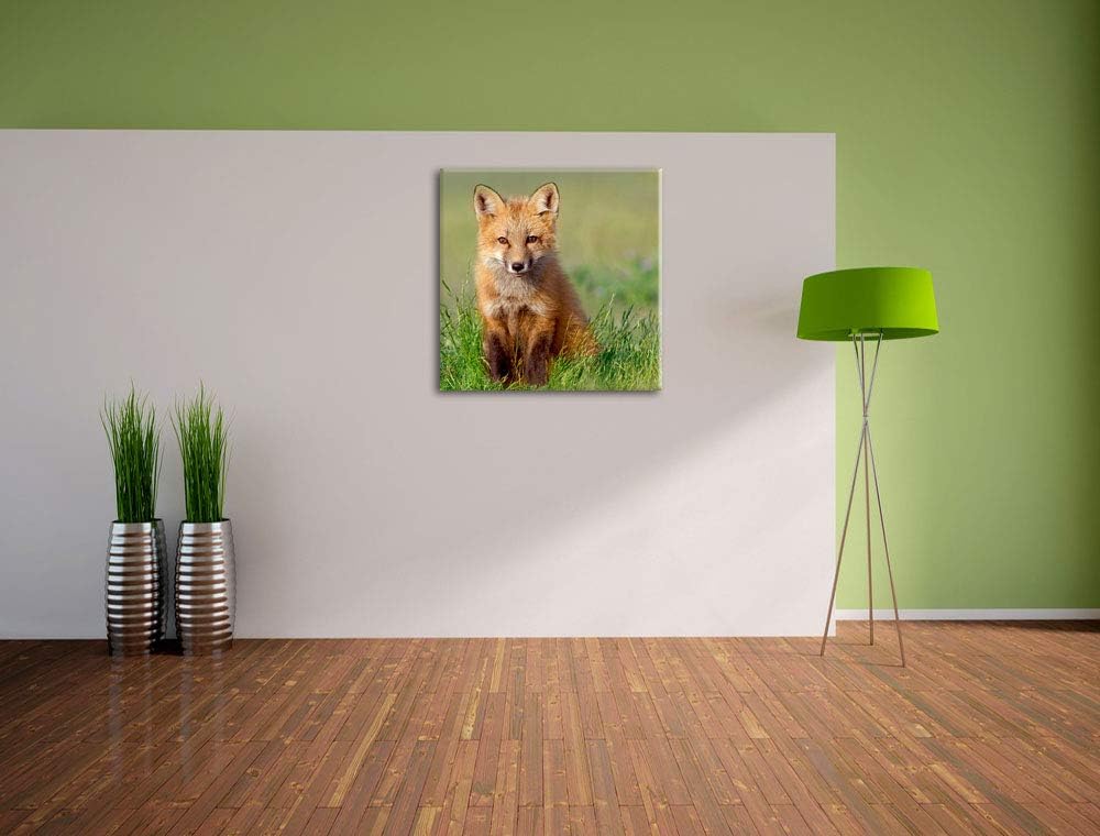 Pixxprint Kleiner Fuchs, Format: 70x70 auf Leinwand, XXL riesige Bilder fertig gerahmt mit Keilrahme