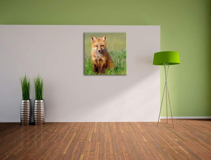 Pixxprint Kleiner Fuchs, Format: 70x70 auf Leinwand, XXL riesige Bilder fertig gerahmt mit Keilrahme