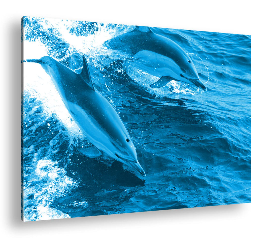 deyoli Verspieltes Delphin paar Format 80x60 Effekt: Monocrome Blau als Leinwandbild, Motiv fertig g