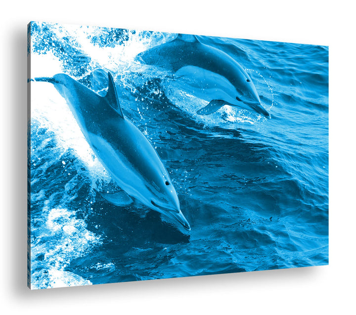 deyoli Verspieltes Delphin paar Format 80x60 Effekt: Monocrome Blau als Leinwandbild, Motiv fertig g