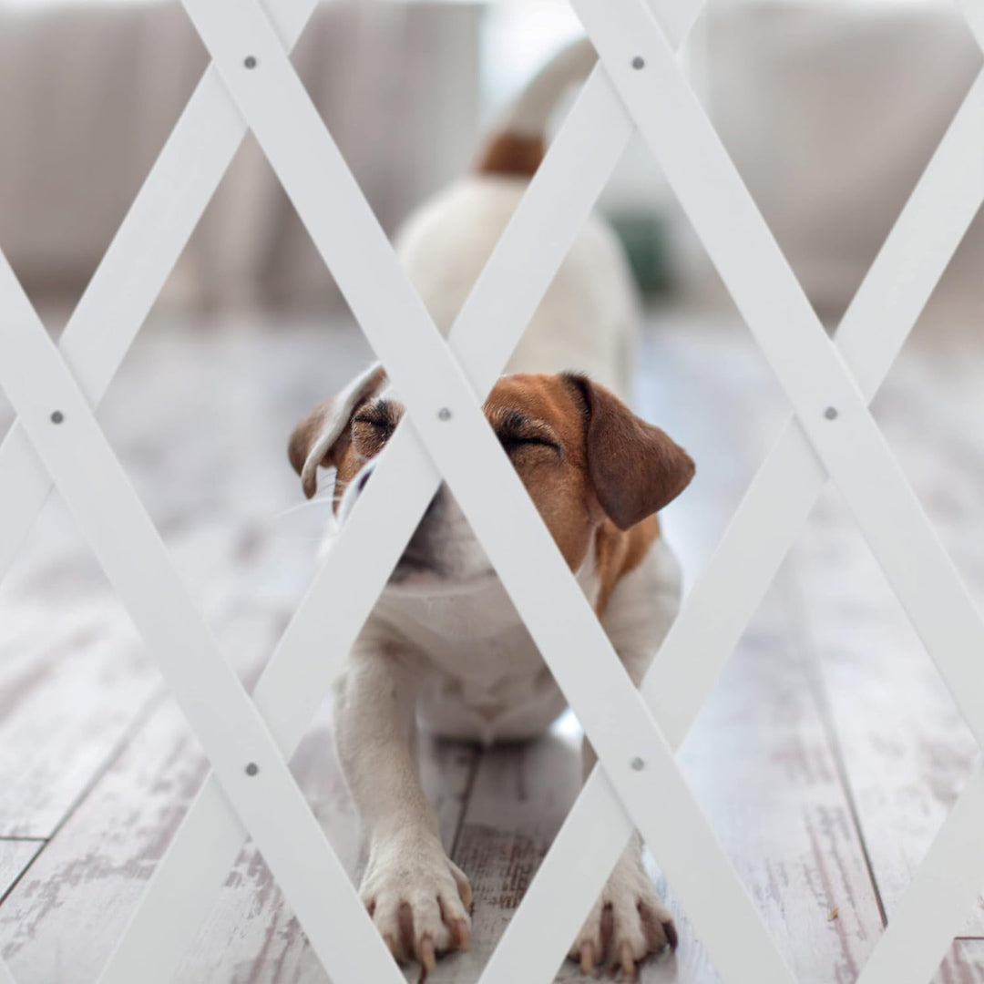 Relaxdays Hundeabsperrgitter ausziehbar bis 126 cm, 70-82 cm hoch, Bambus, Hunde Schutzgitter, für T
