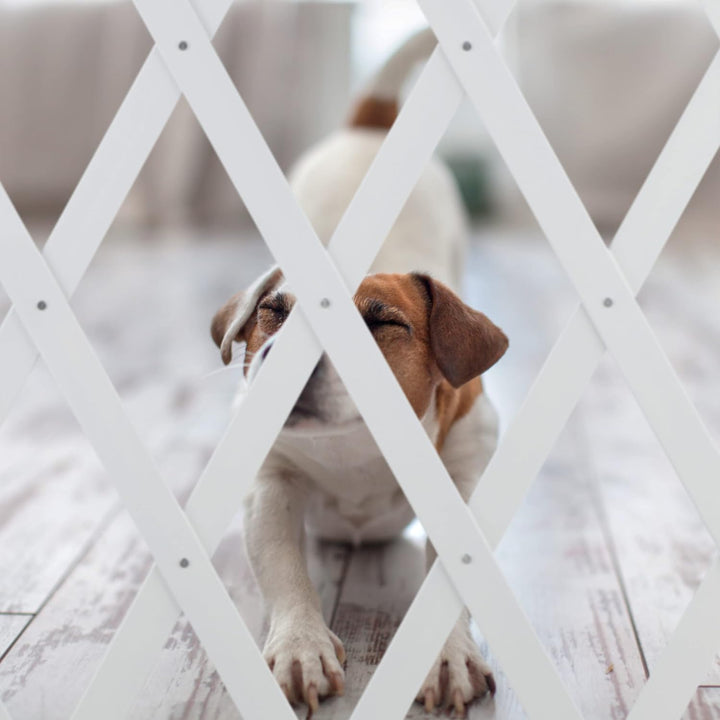Relaxdays Hundeabsperrgitter ausziehbar bis 126 cm, 70-82 cm hoch, Bambus, Hunde Schutzgitter, für T