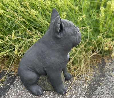 Stone and Style Steinfigur Frenchie schwarz Französische Bulldogge frostfest