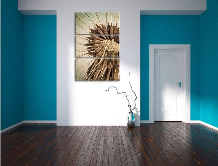 Pixxprint Vertrocknete Pusteblume als Leinwandbild/Grösse: 3 Teilig (120x80) cm/Wandbild/Kunstdruck/