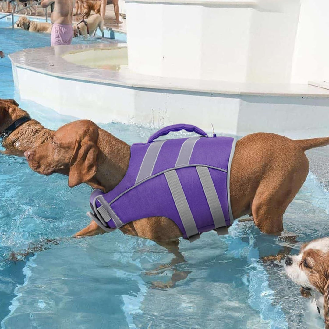 Kuoser Schwimmweste Hund, Haltbarkeit Hundeschwimmweste, Hervorragender Auftrieb Schwimmweste Hund k