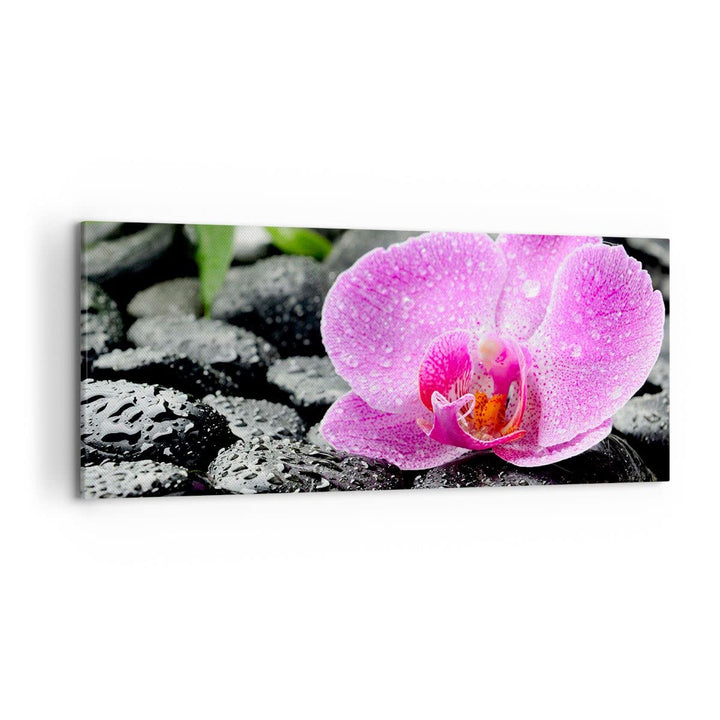 Wandbilder Dekoration Wohnzimmer Asien bambus schönheit kultur Panorama Bilder auf Leinwand 120x50cm