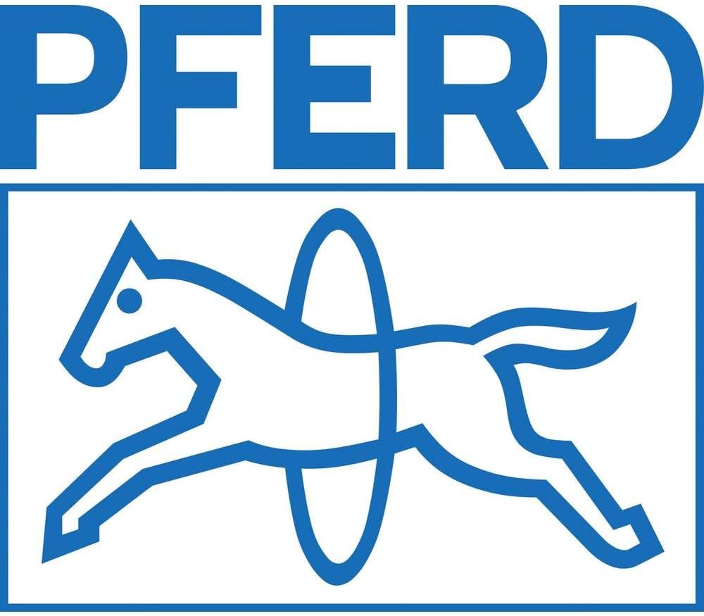 PFERD Fächerschleifwalze | 100 x 100 mm, Keilnut 19mm, Korund A 120 | 44783120 – zum universellen Ei