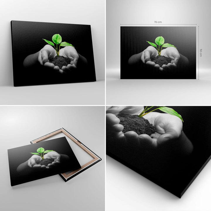 Bilder auf Leinwand Natur Pflanze Wissenschaft Schutz Leinwandbild 70x50cm Wandbilder Dekoration Woh